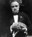 The Godfather 1972 movie screen 3.jpg