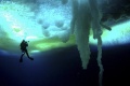 Encounters at the End of the World 2008 movie screen 1.jpg