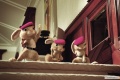 Hop 2011 movie screen 3.jpg