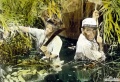 The African Queen 1951 movie screen 4.jpg
