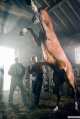War Horse 2011 movie screen 2.jpg